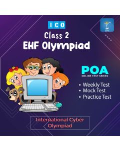 International Cyber Olympiad (ICO)