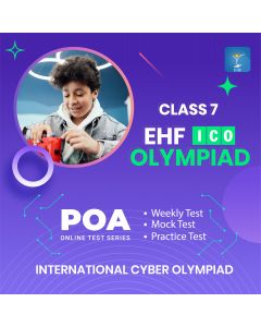 International Cyber Olympiad (ICO)